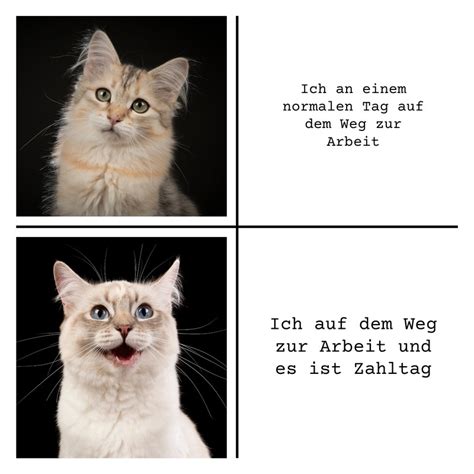 memes vorlagen|Vorlagen für Memes – kostenlos anpassbar